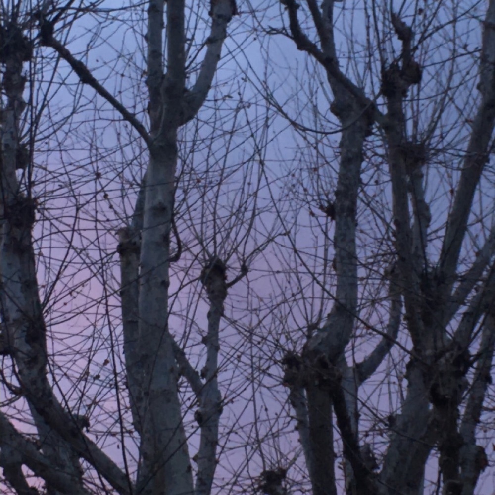 Meet your Posher, Rodrigo